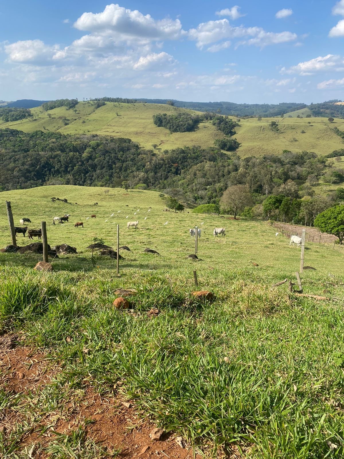 Foto de FAZENDA SUPER 500