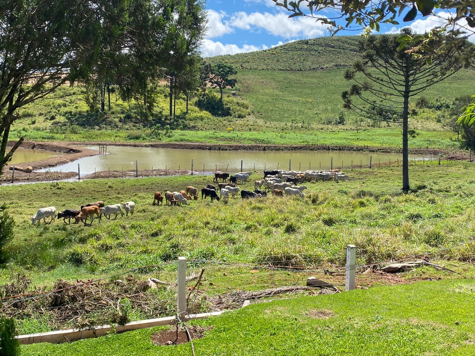 Foto de FAZENDA SUPER 500