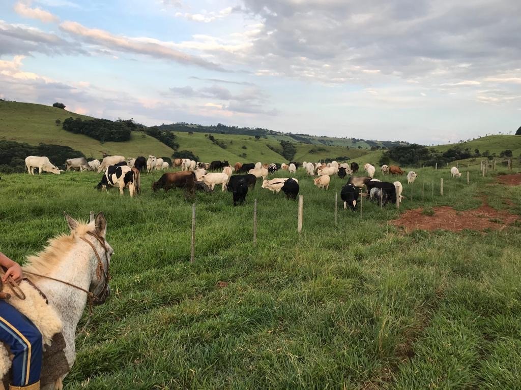 Foto de FAZENDA SUPER 500
