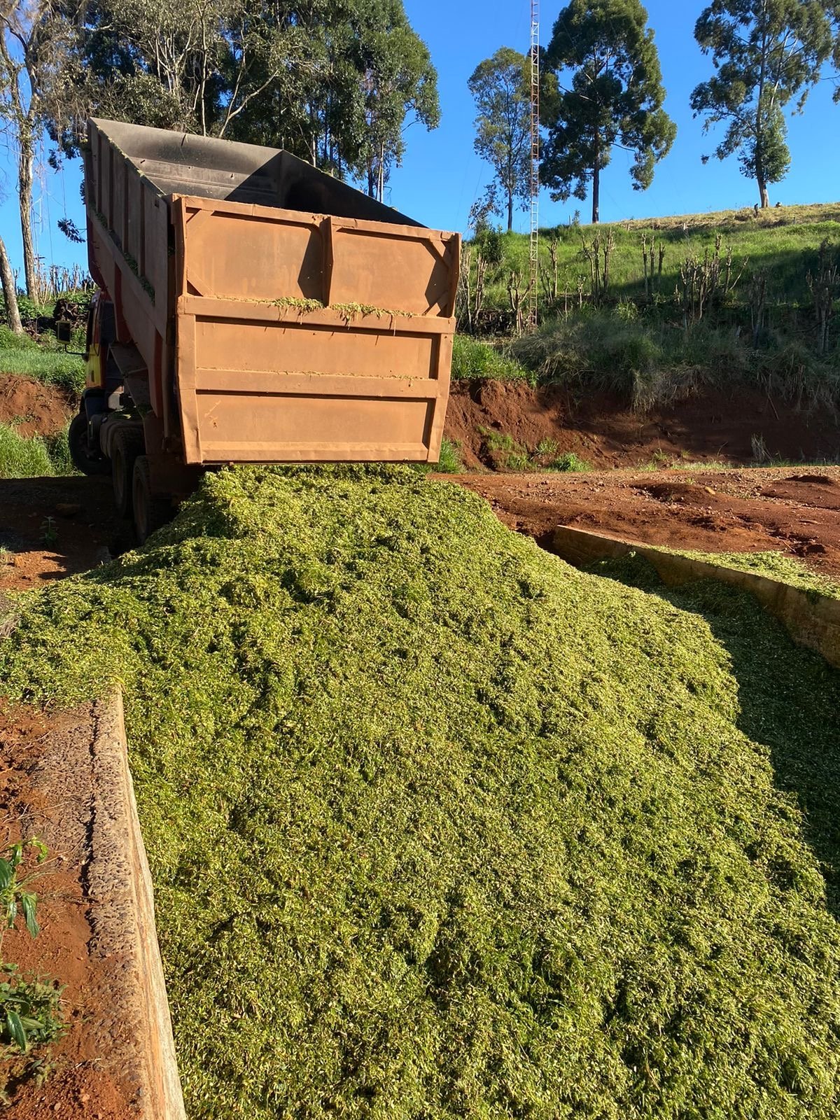 Foto de FAZENDA SUPER 500